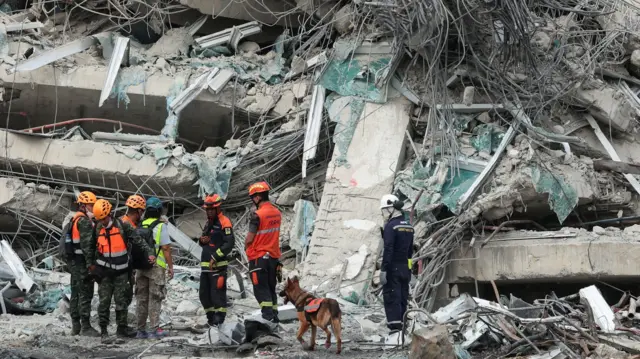救援人员在泰国曼谷一栋因强震而倒塌的建筑物现场与一只搜救狗一起工作 救援人员在泰国曼谷一栋因强震而倒塌的建筑物现场与一只搜救狗一起工作